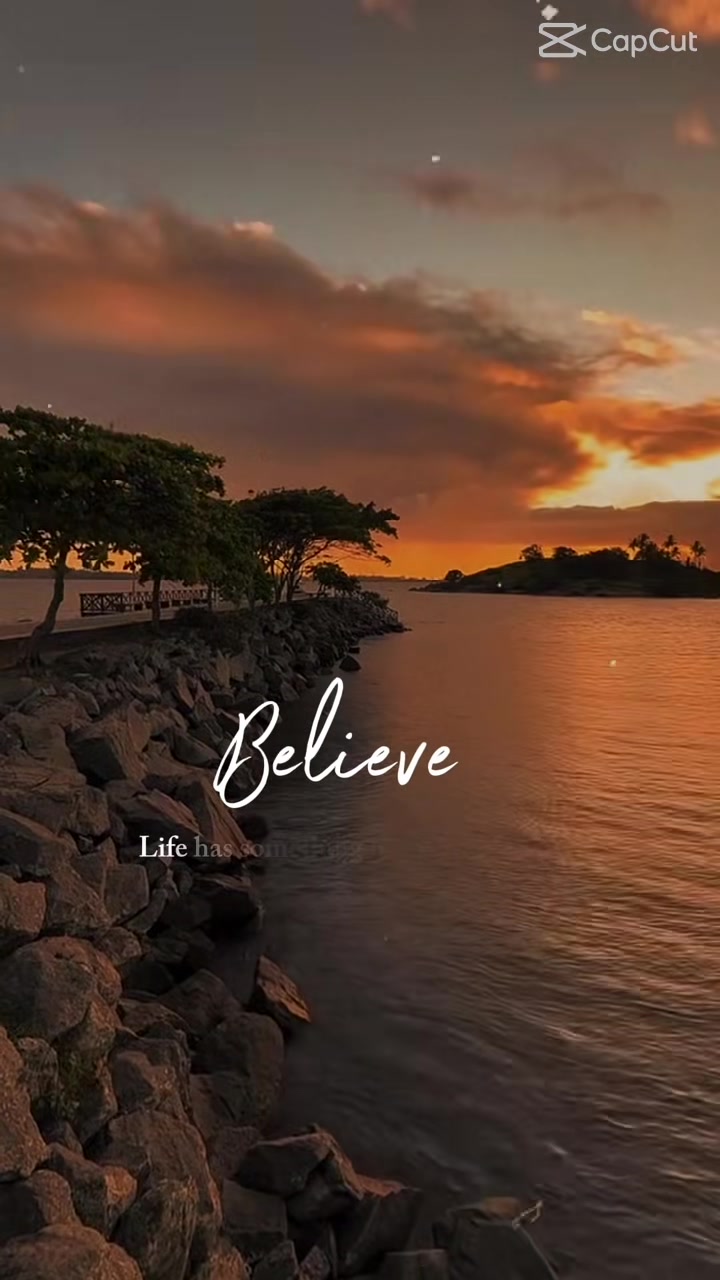 @mommo19717