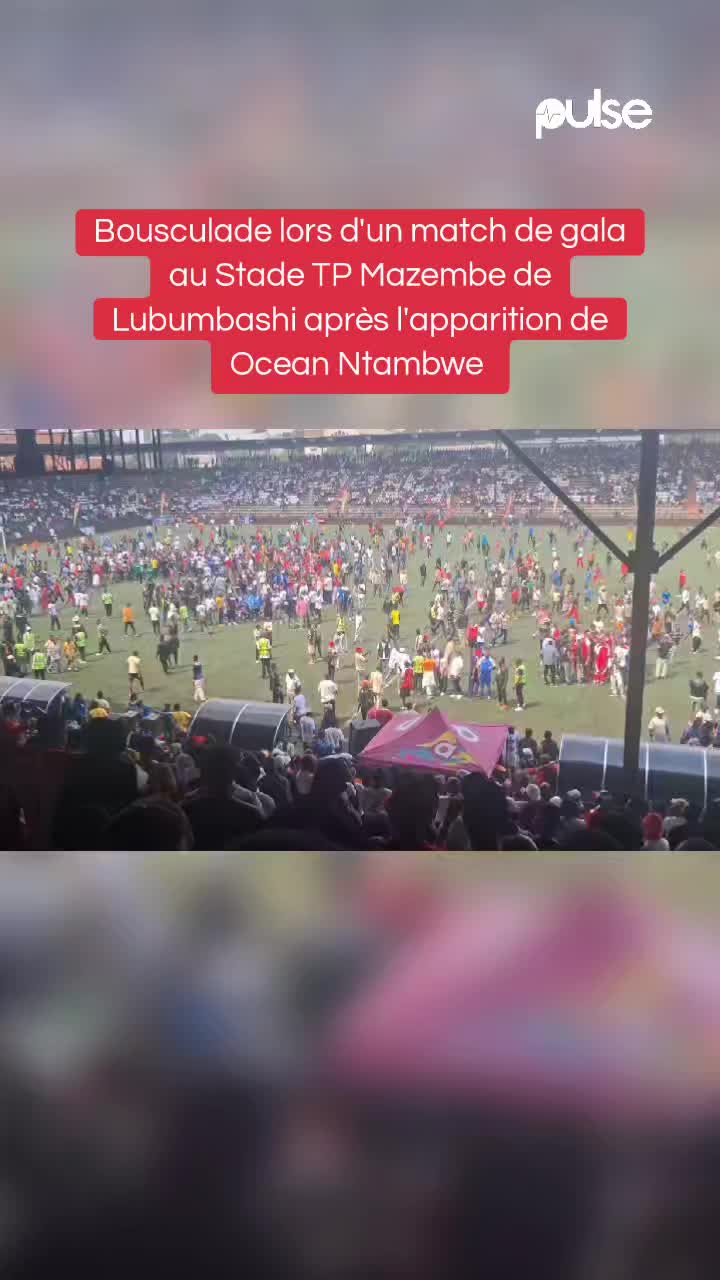 @Pulse Congo