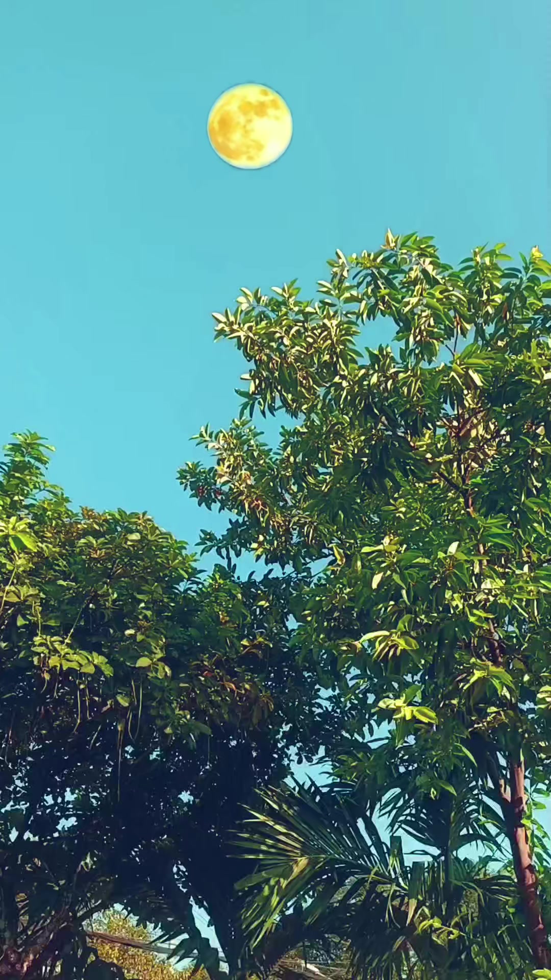 @Hữu.Nguyên 57