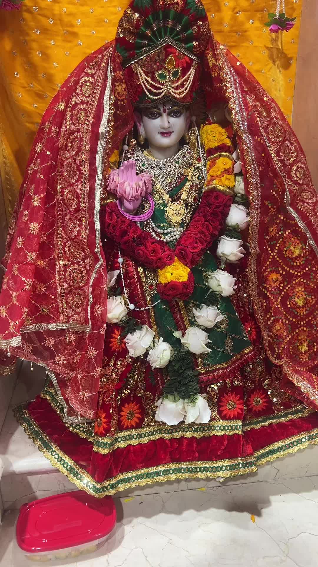 @Bhavika Gor