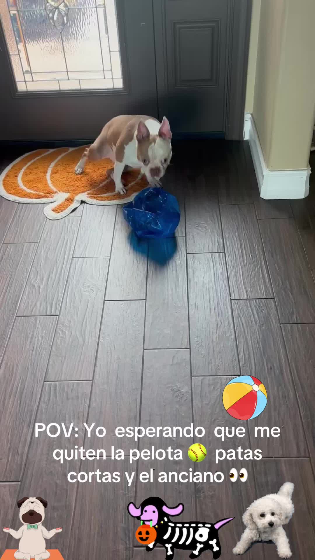 @los3huevertos