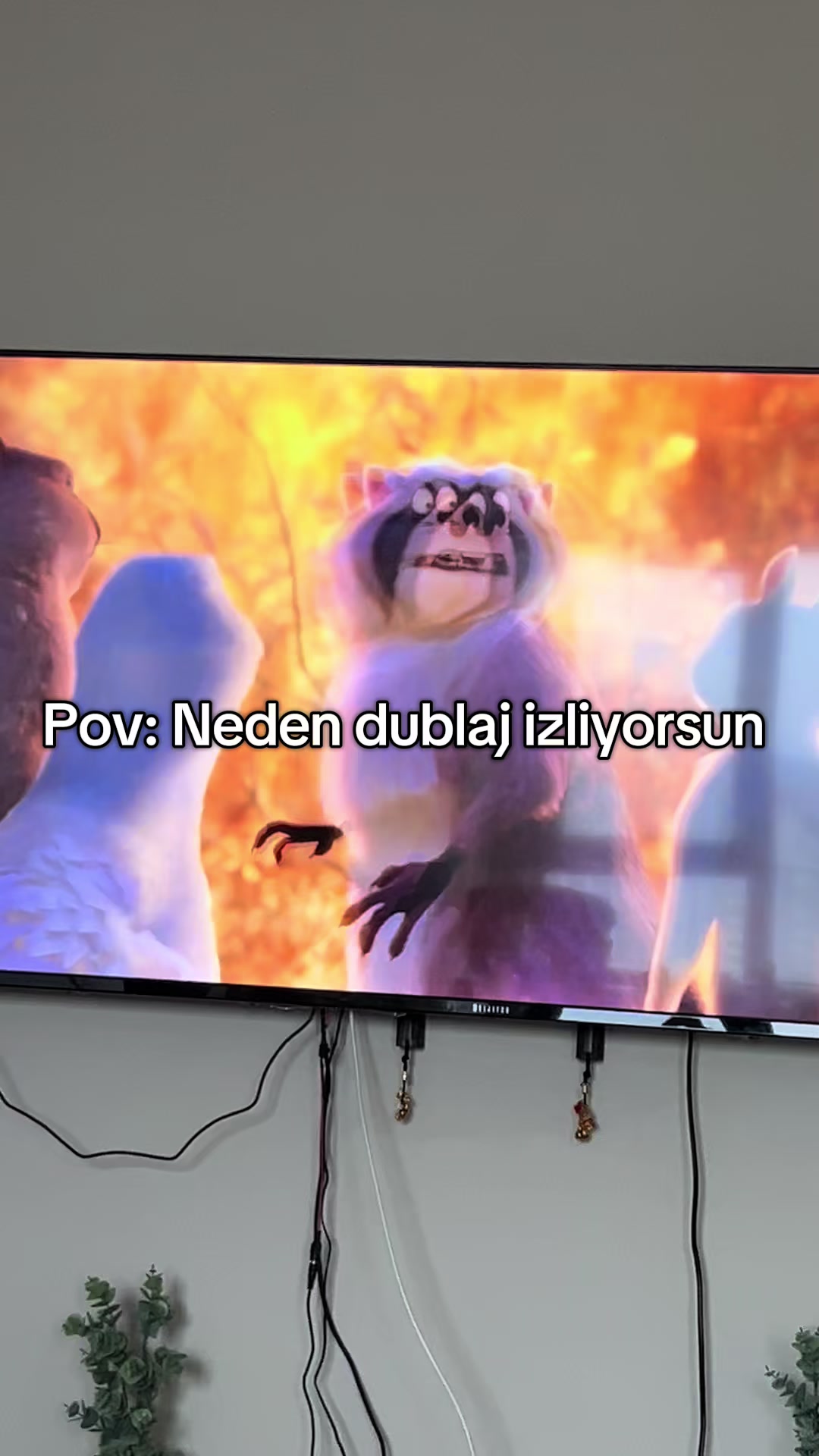 @asmreldaa