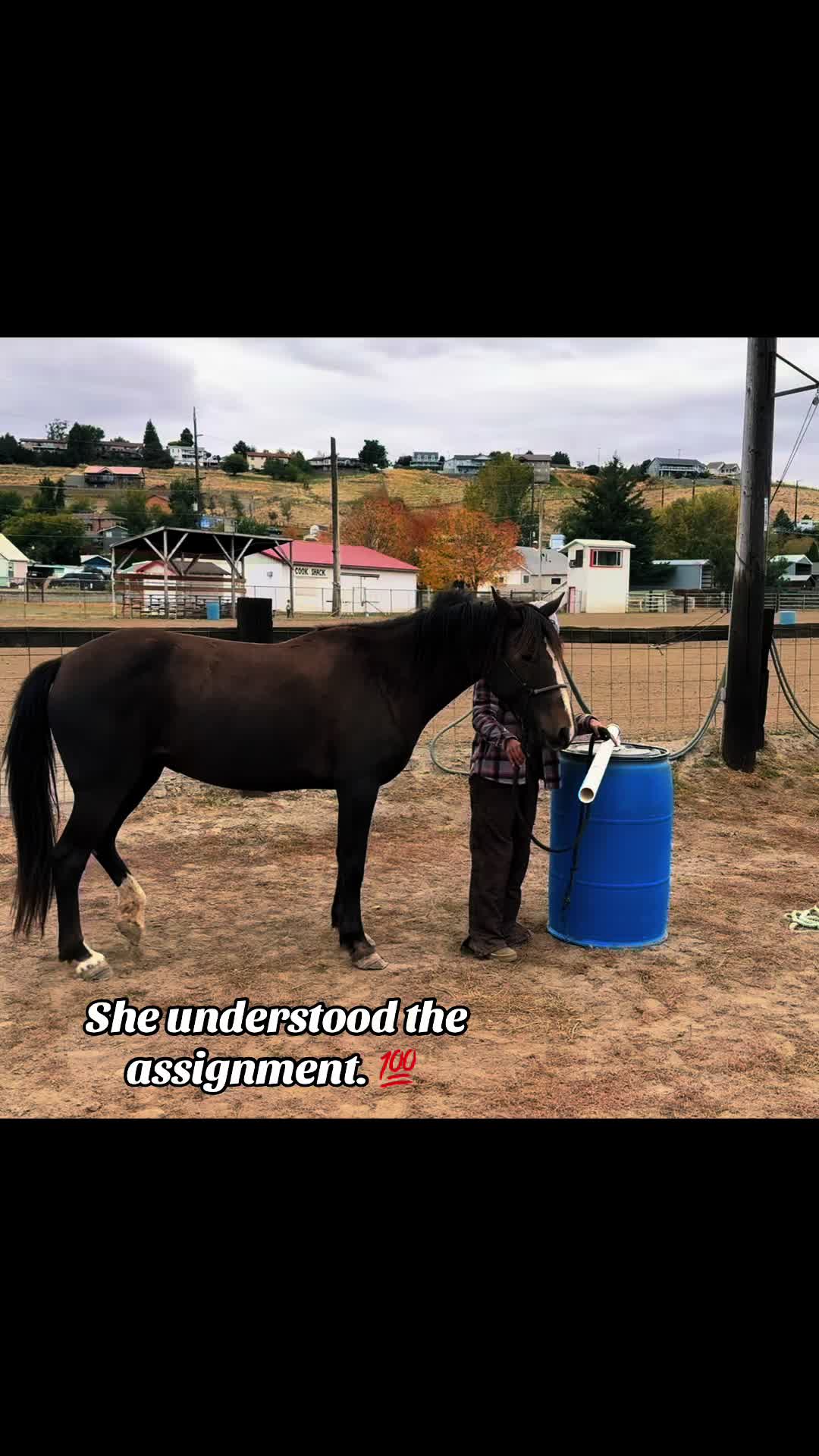 @Cowgirl Tuff Colt Training ❤️
