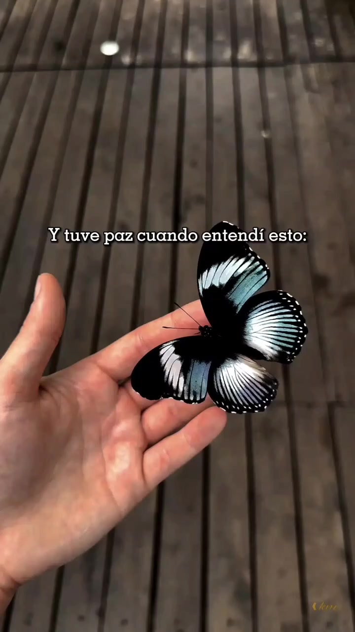 @Amor, Resiliencia y Fe
