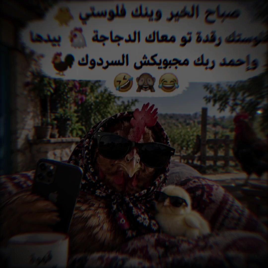 @🇹🇳SAYARI✨️سـتـوريـات🖤