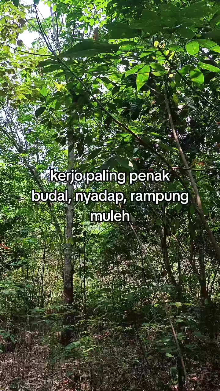 @BINI MU🌞