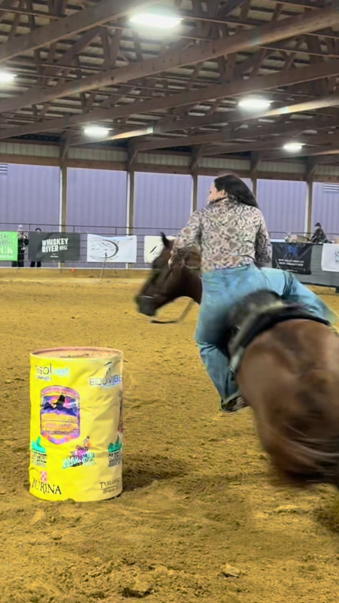 @Living Lucky Quarter Horses