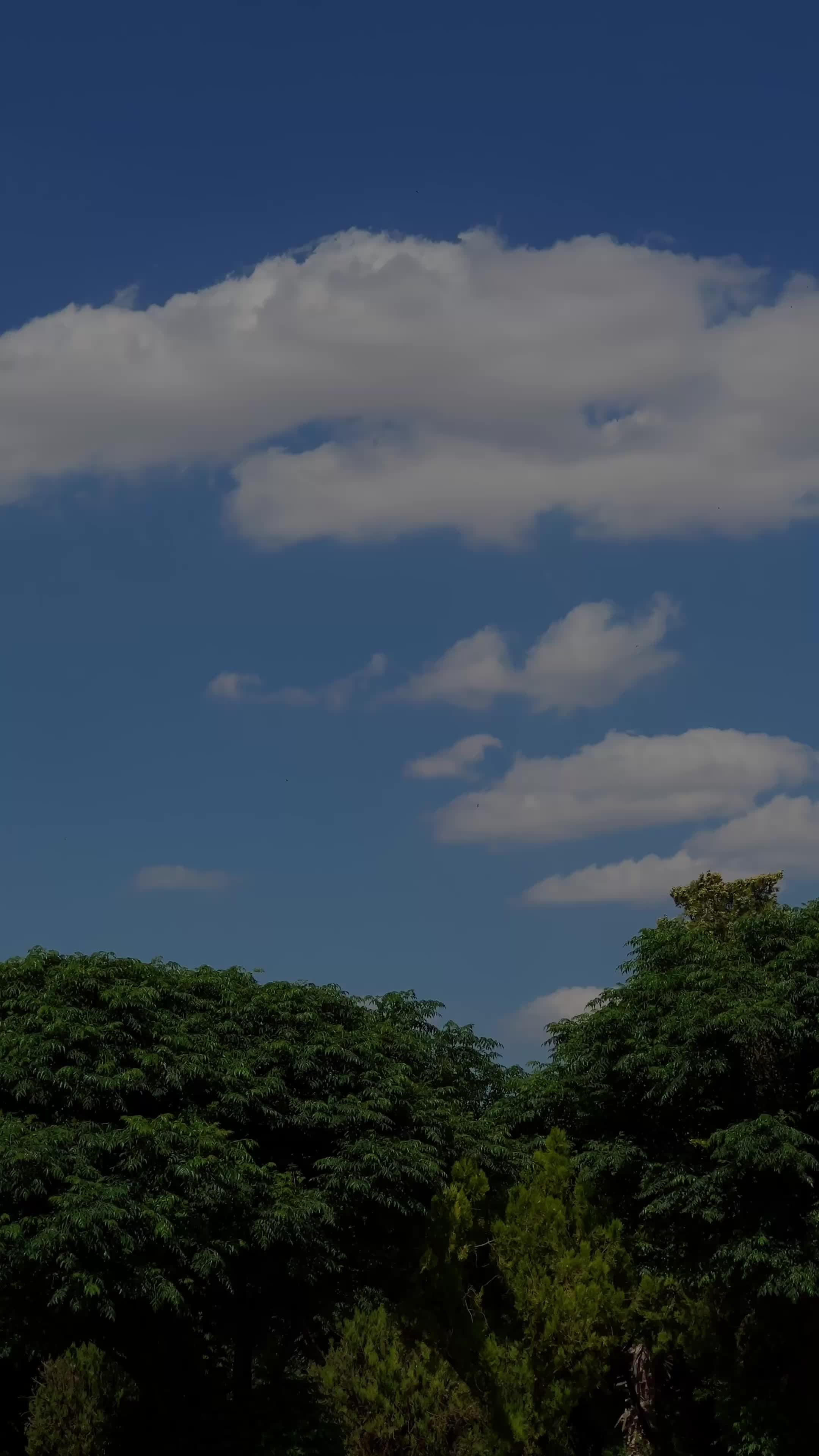 @𝐊𝐔𝐑𝐌𝐀𝐍𝐂𝐈