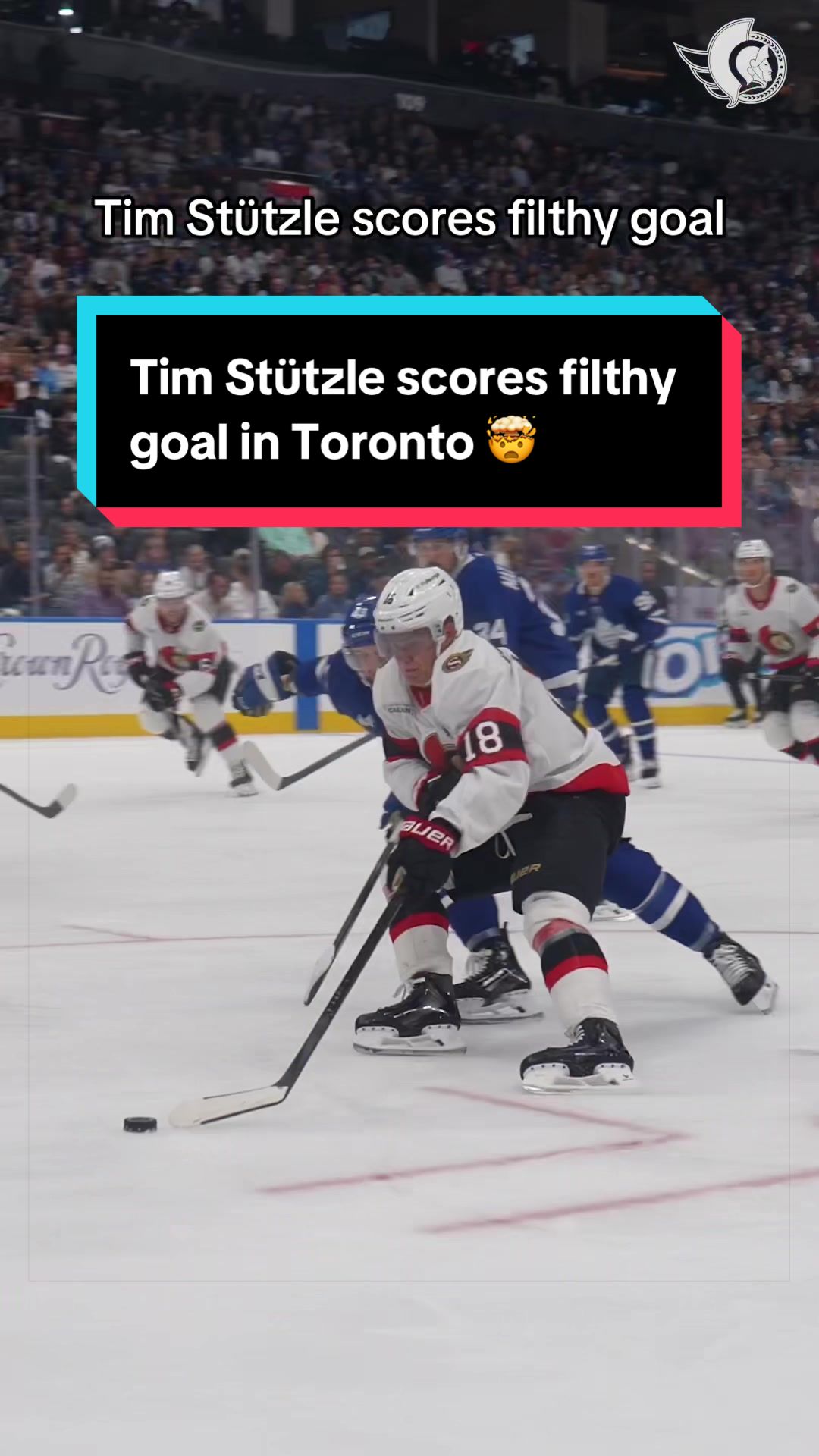 @Ottawa Senators