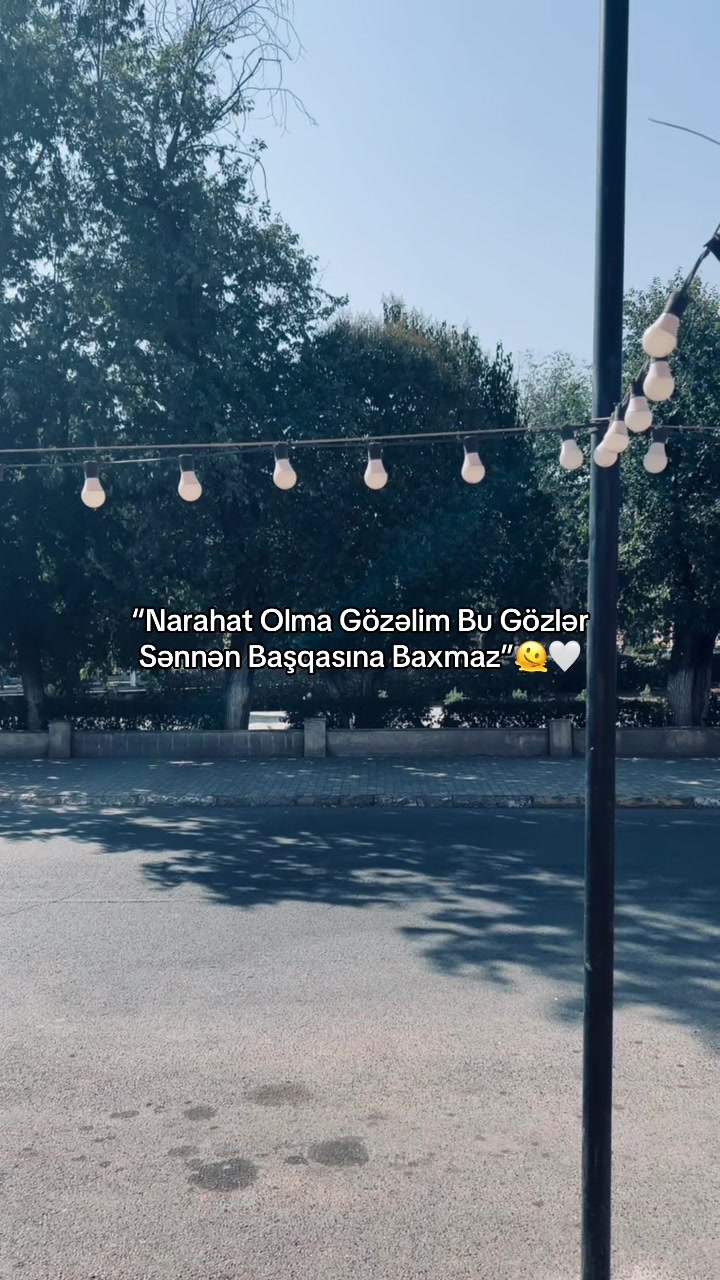 @Ağayevsss⚡️