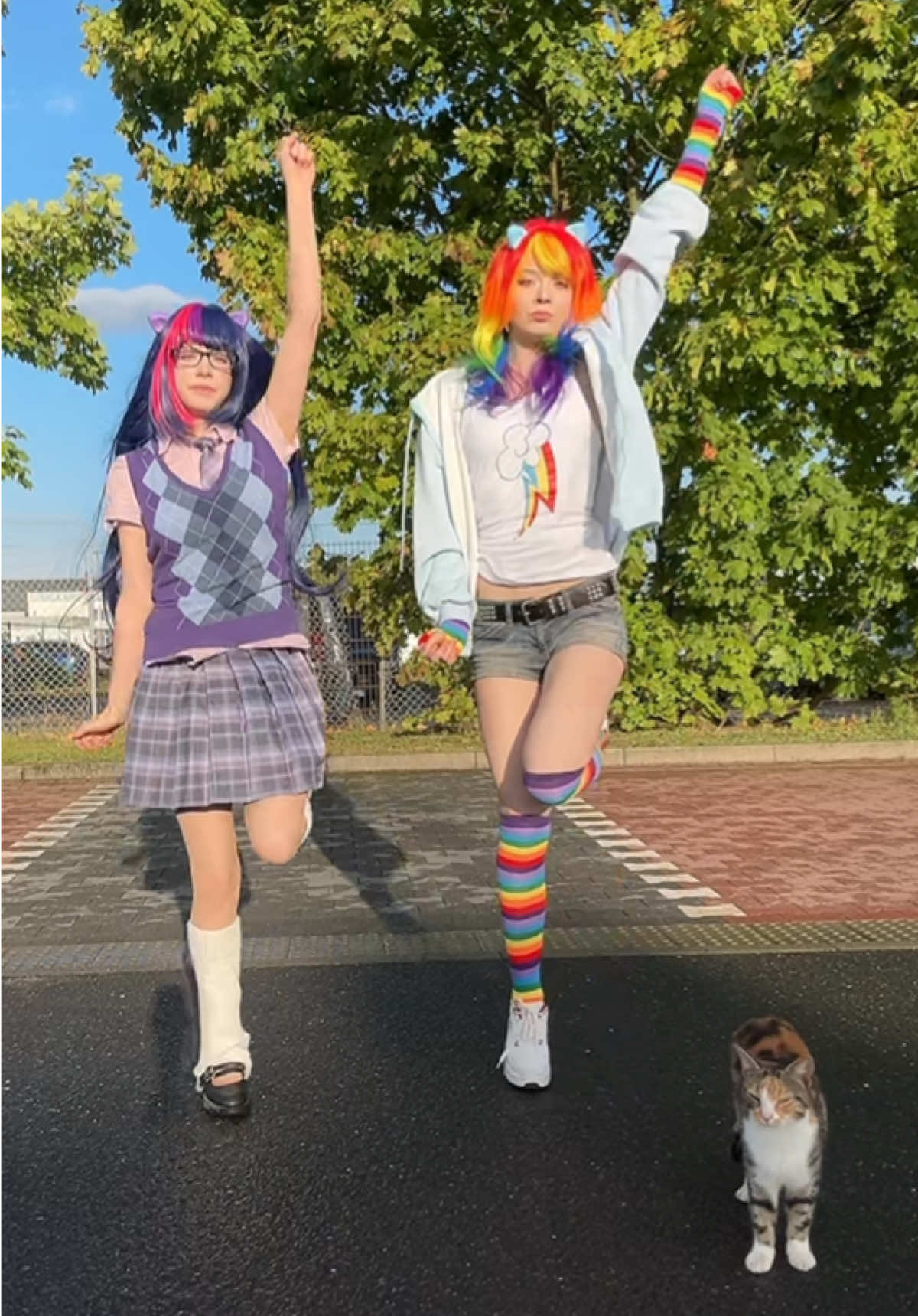 @Ibuki