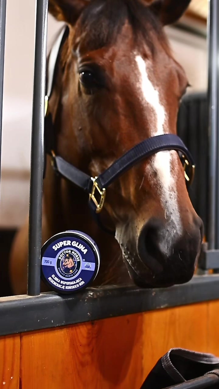 @Doctor Horse