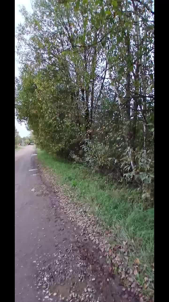 @ДИМОН