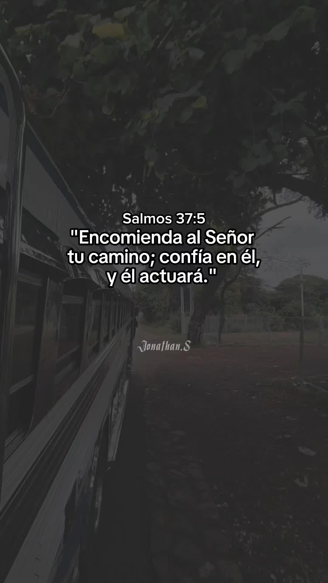 @Jonathan Salazar🐉