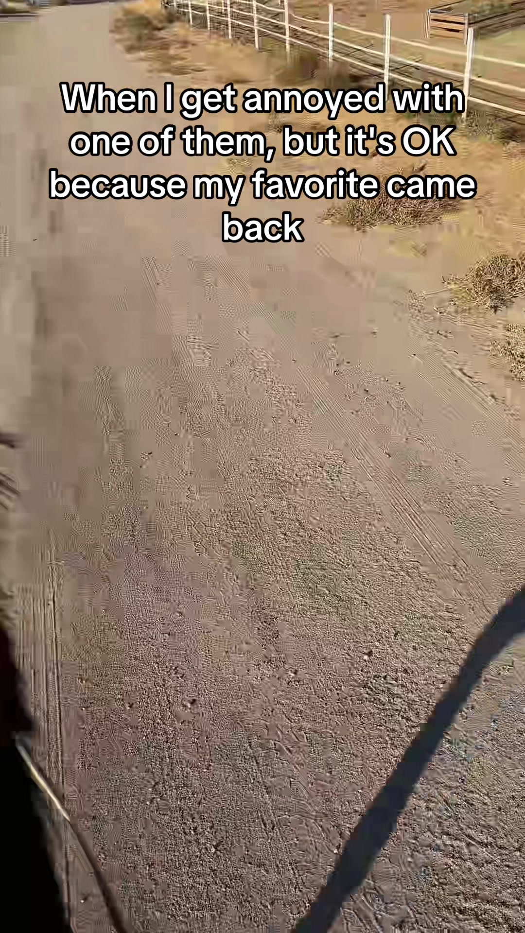 @Chloe Jakubowski