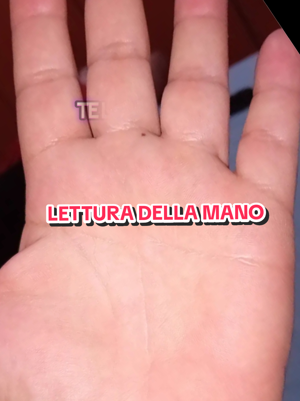 @EnergiaTarot🔮CartomanziaTarot