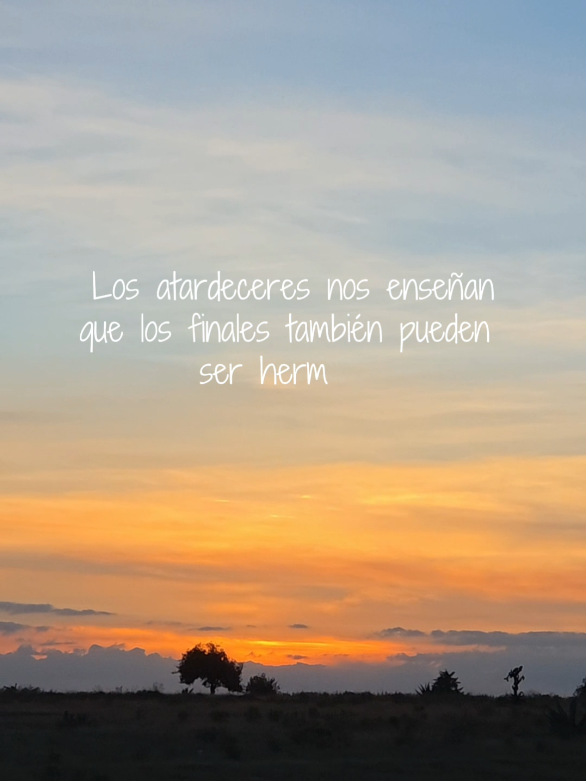 @leo_goncas