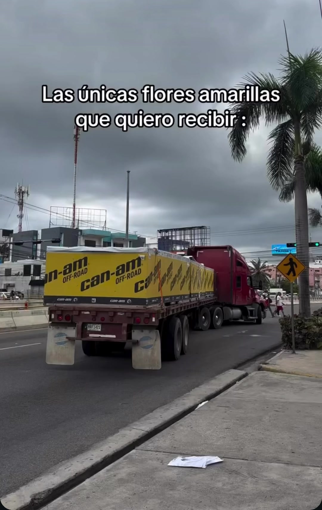 @&Eacute;l calaco