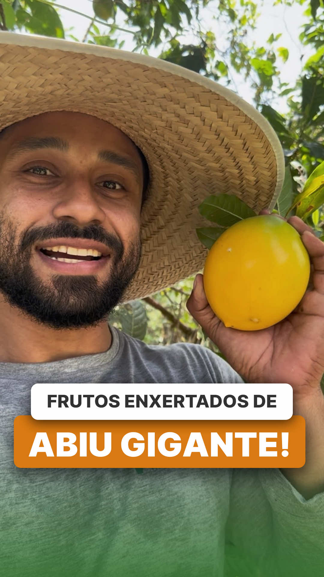 @ViveiroProMudas