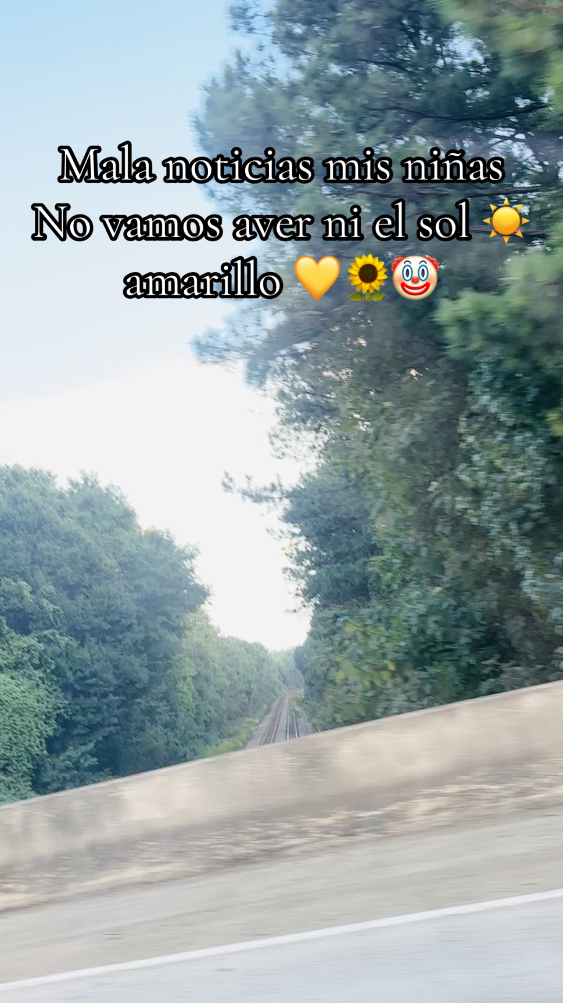 @🌻🔥Marilupaz😇🖤🦎