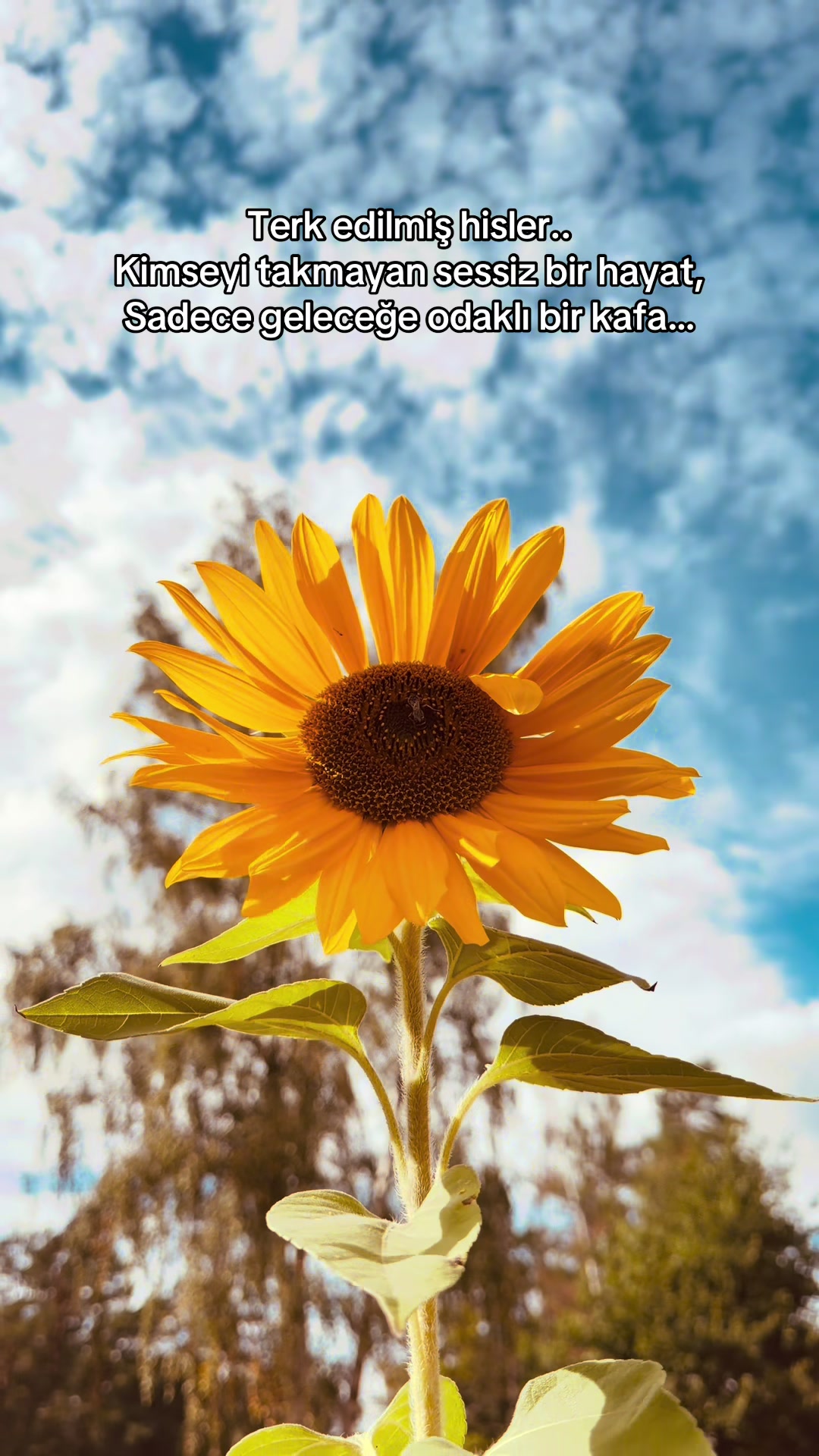 @𝓡𝓸𝓳𝓭𝓪☀️