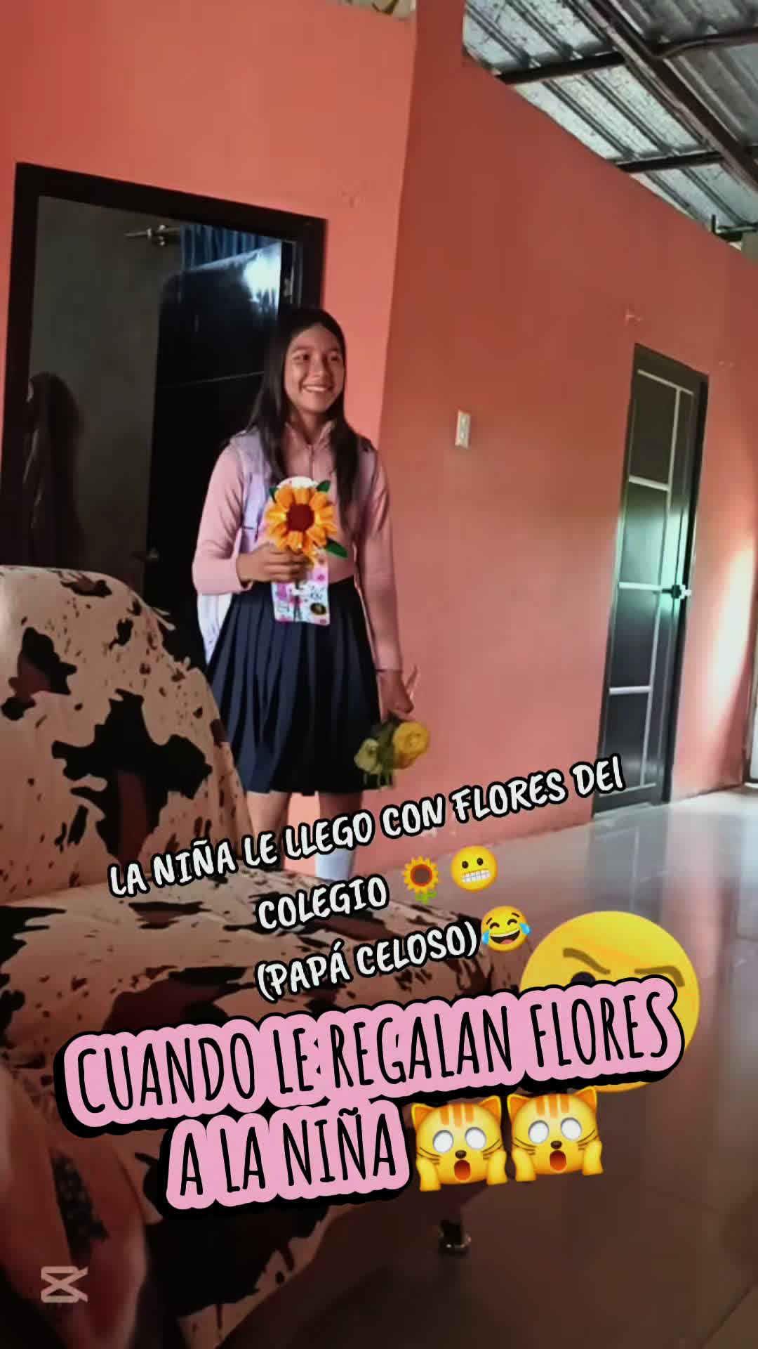 @bailesoficina03