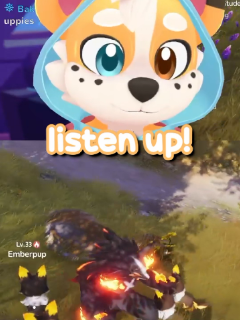 @Corgi