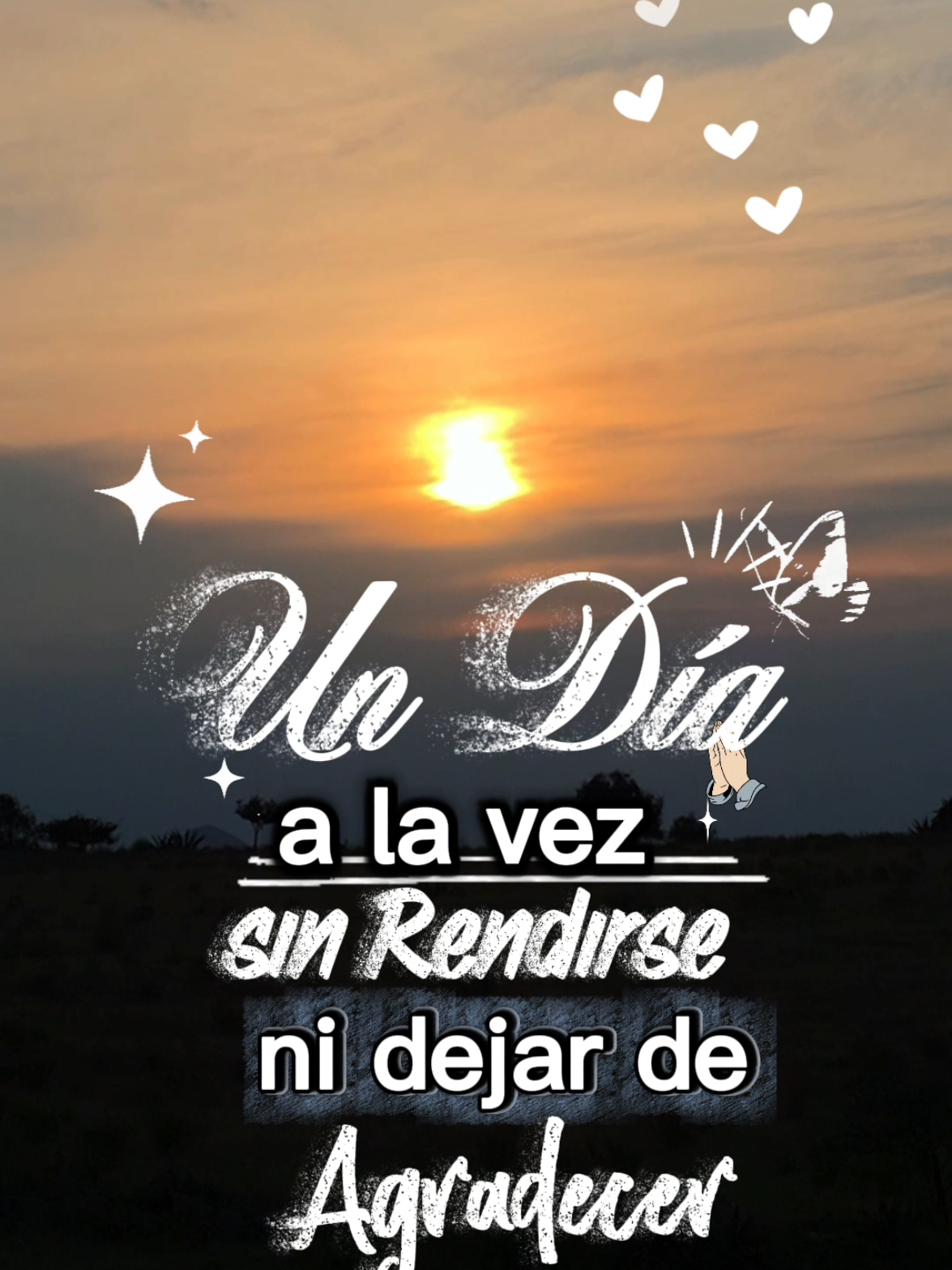 @leo_goncas