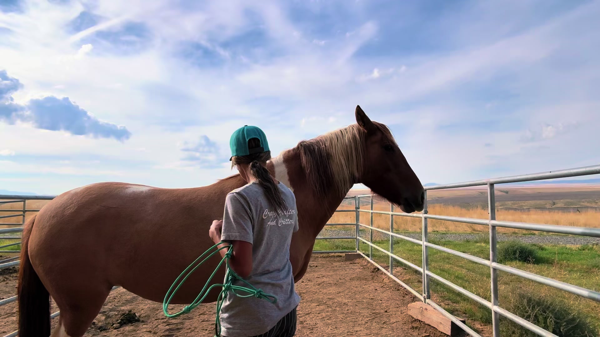 @Cowgirl Tuff Colt Training ❤️