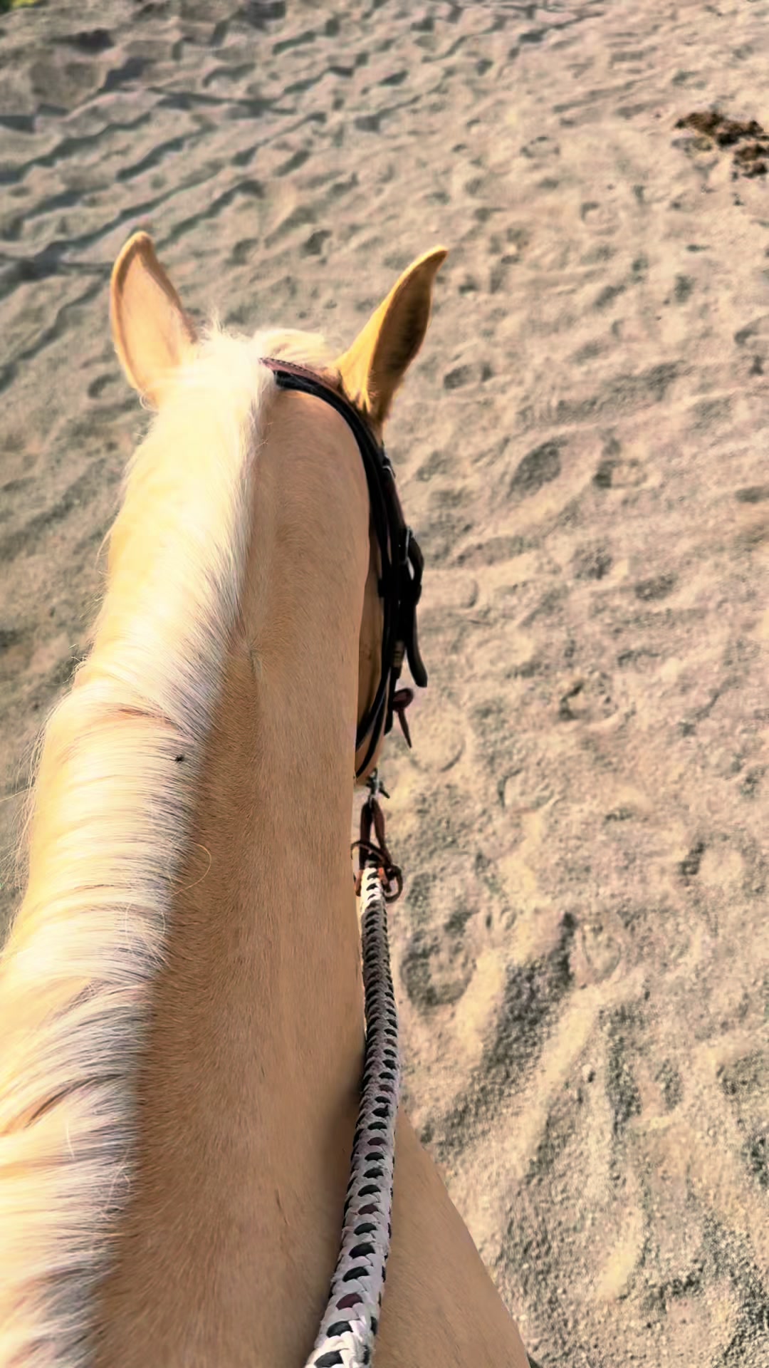 @Cowgirl Tuff Colt Training ❤️