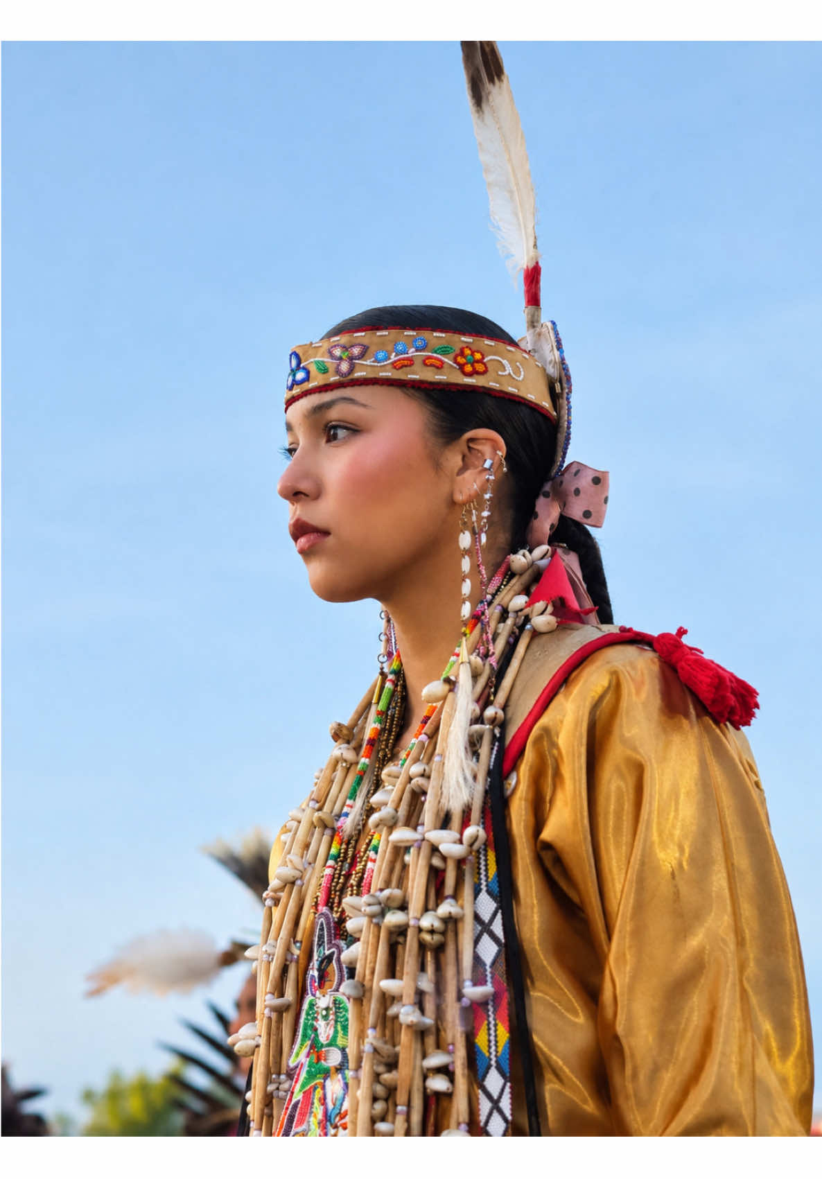 @Native Americans