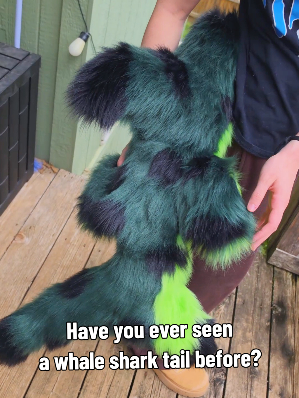 @Furbellion