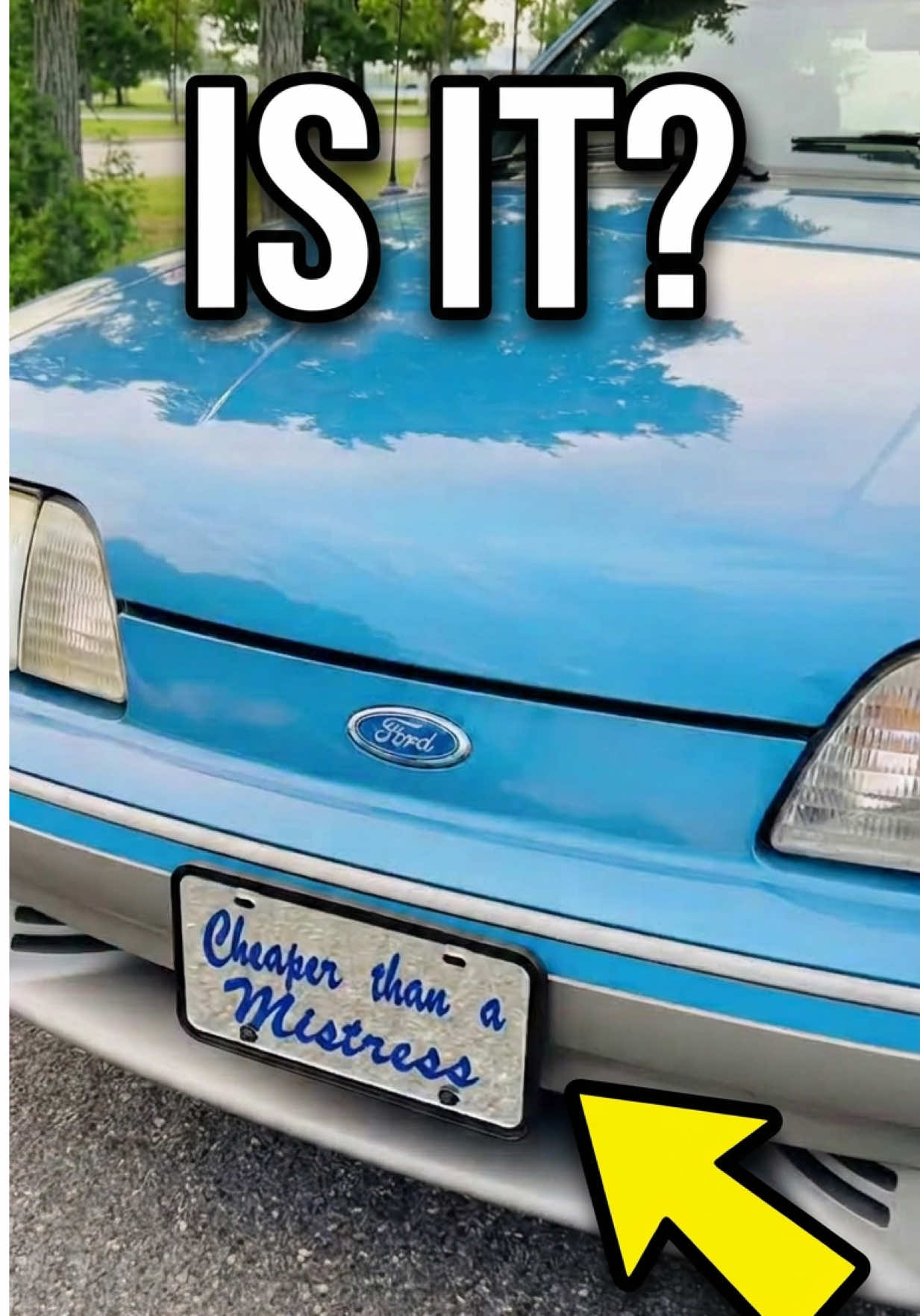 @Carolina Car Dudes