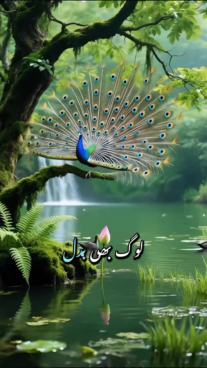 @Syeda-G 007