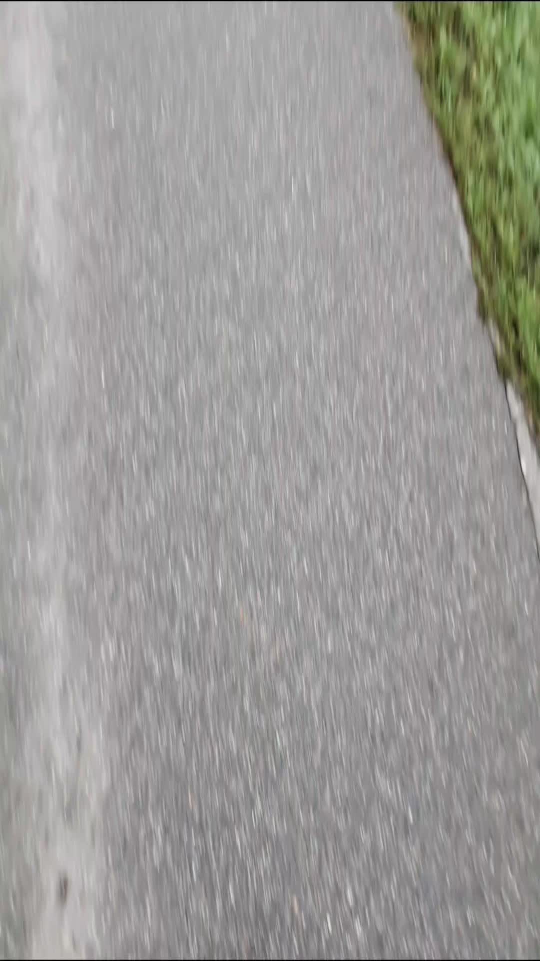 @𝑩𝑹𝑰𝑿𝑿