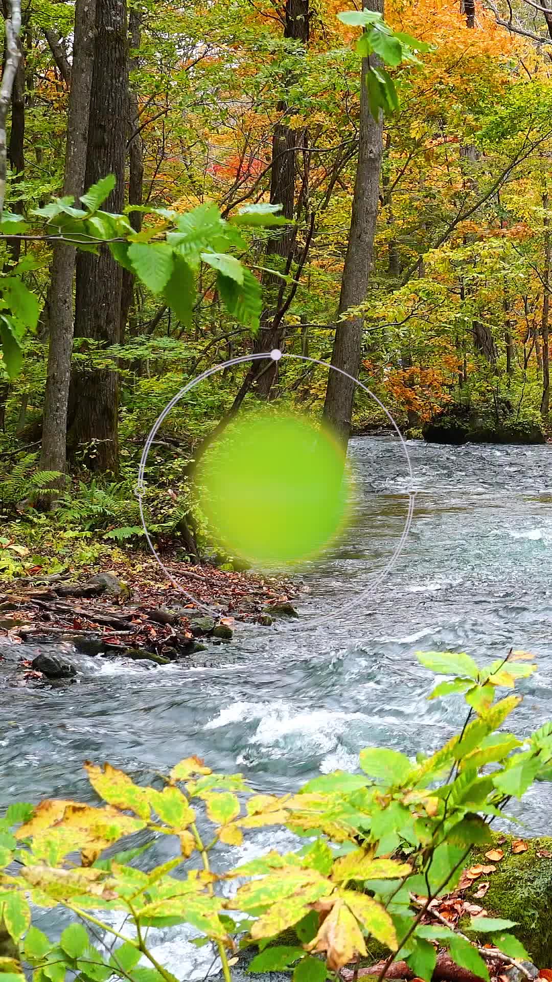 @Calm