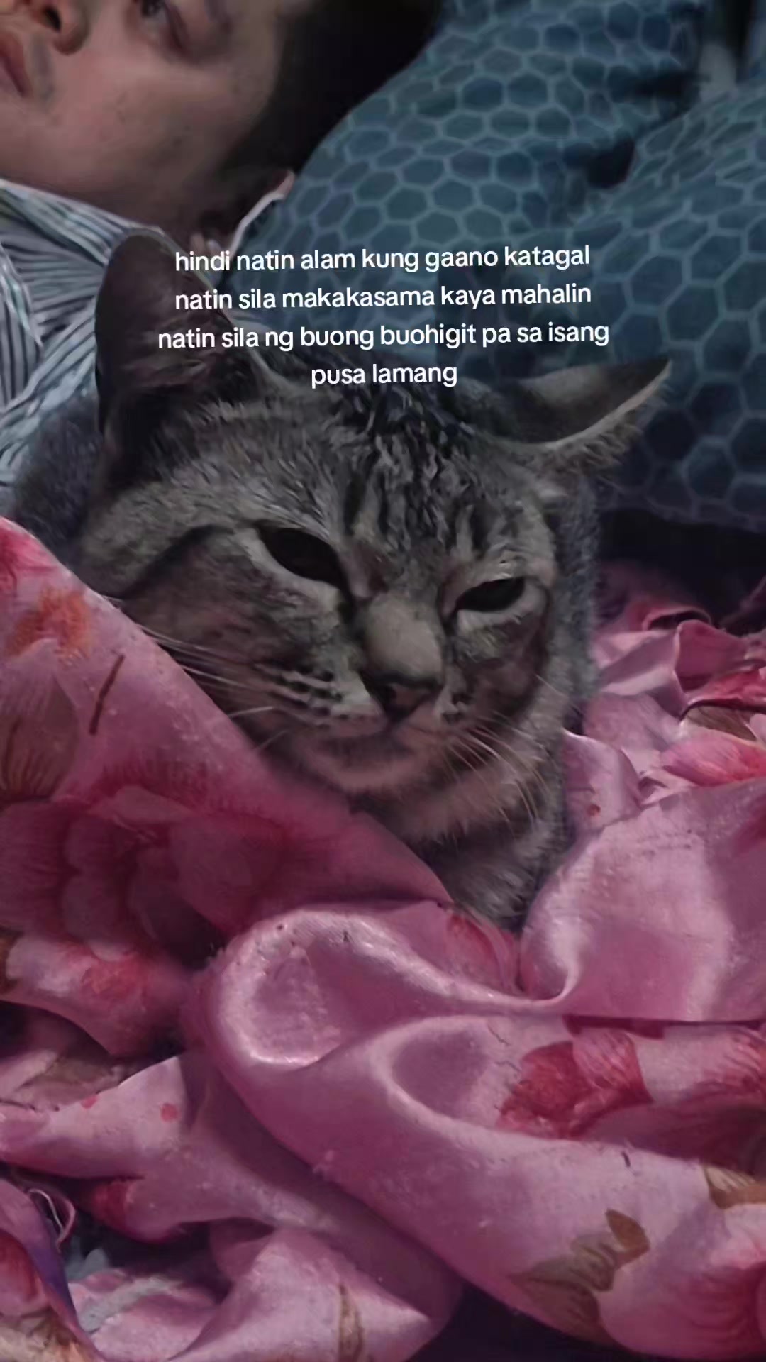 @RILL CRUZ