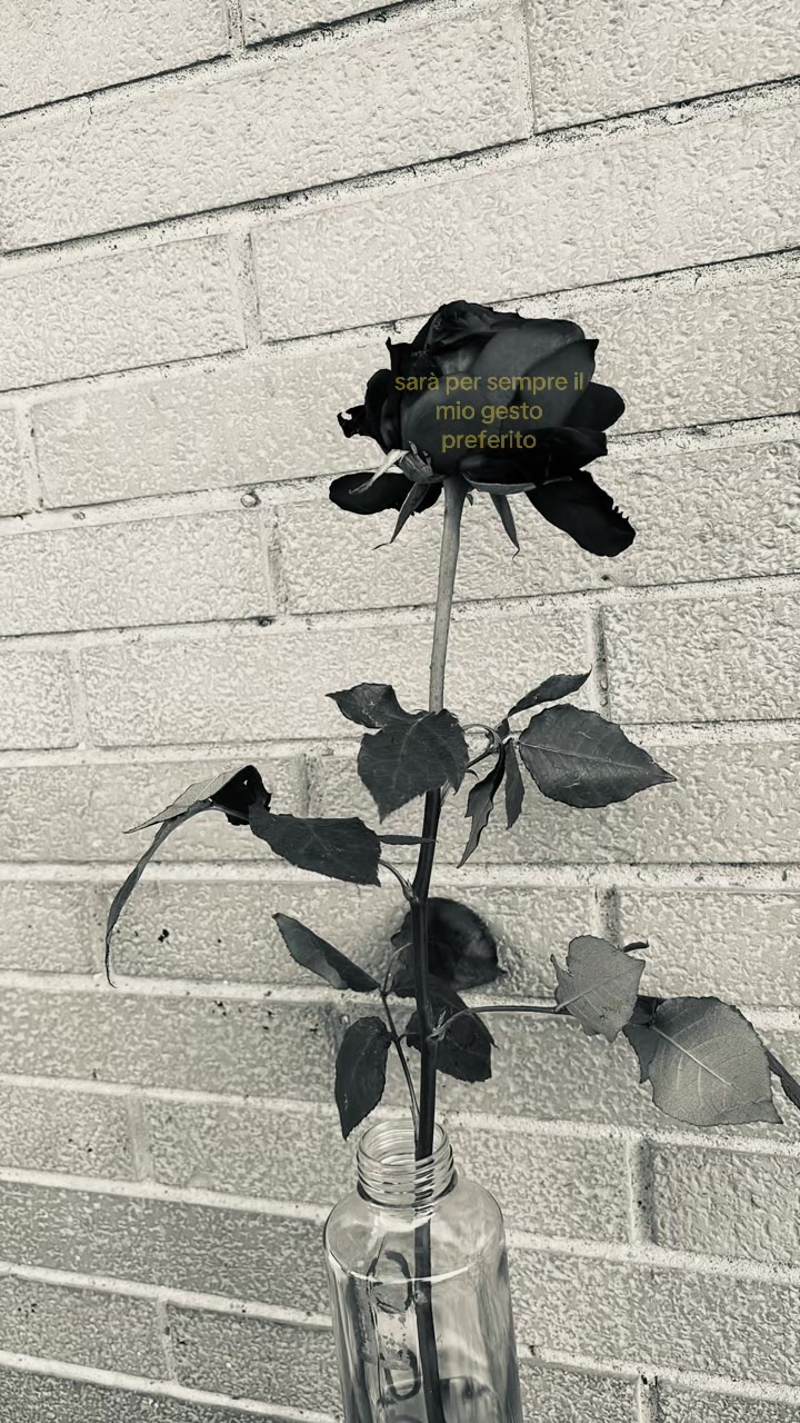 @top.secret