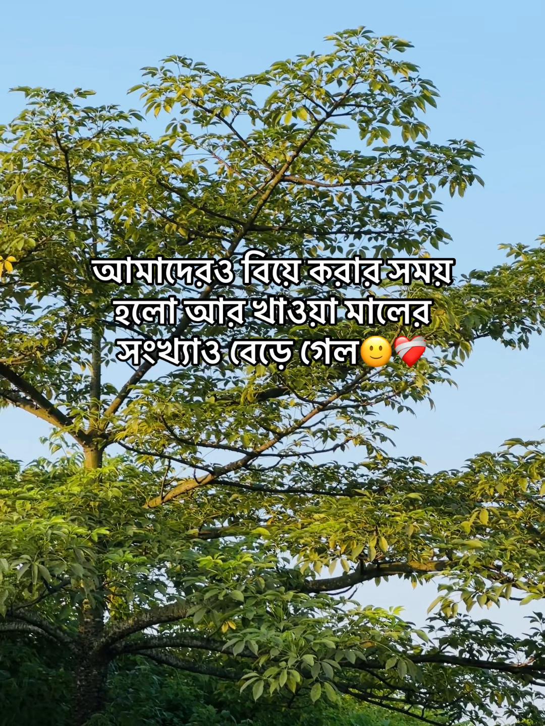 @টিক-টিকি