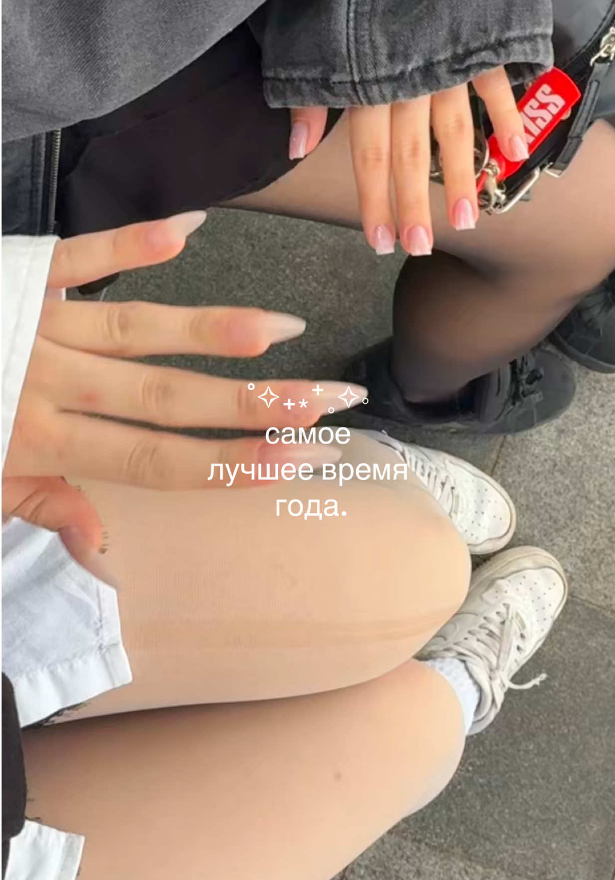 @hamargarita