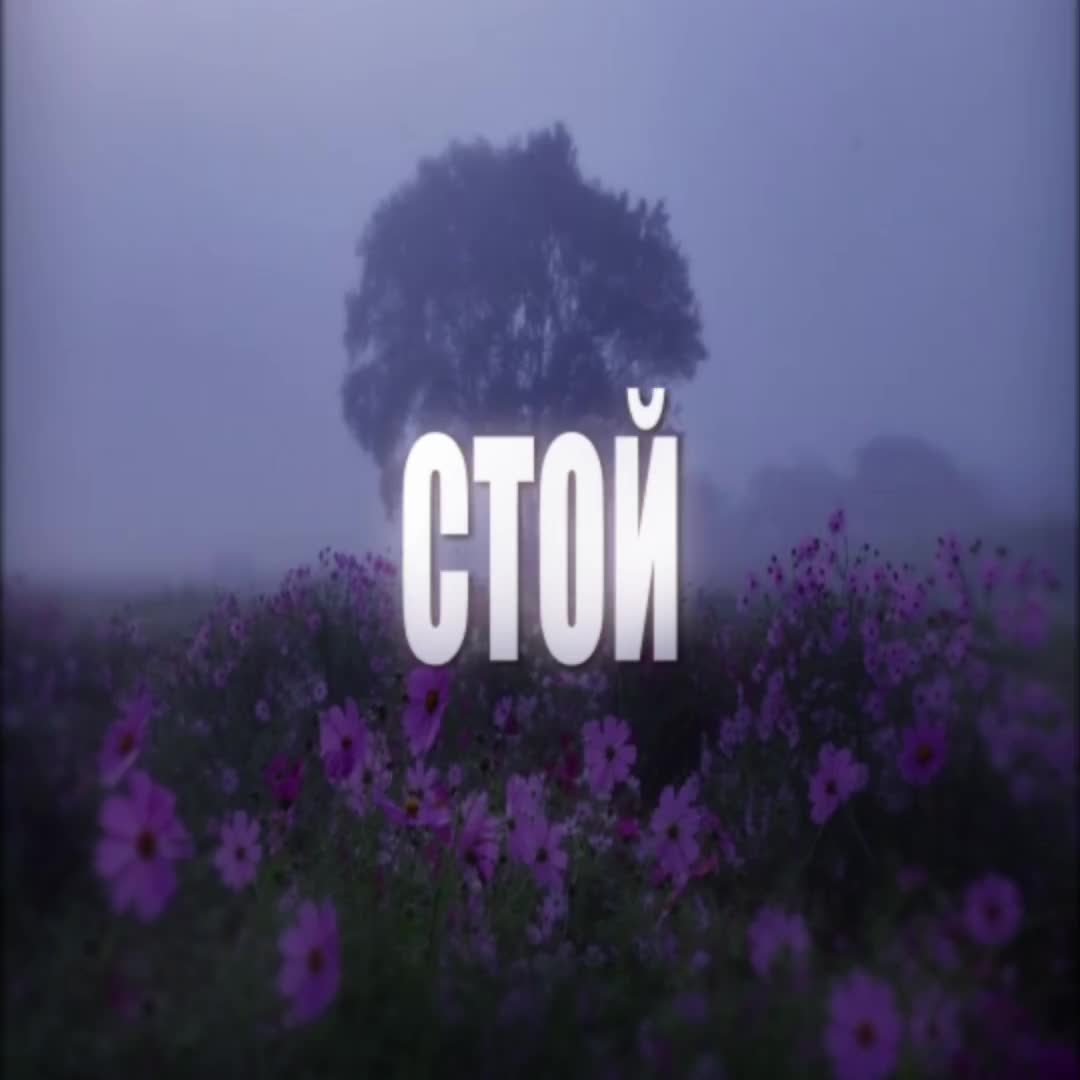 @@ɪᴅᴋ