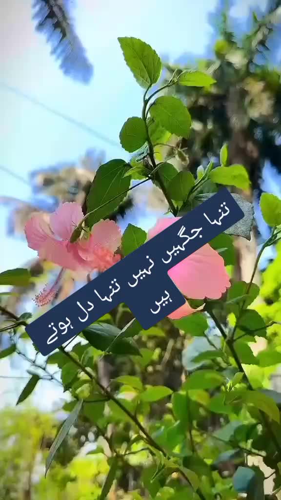 @ishq ibadat