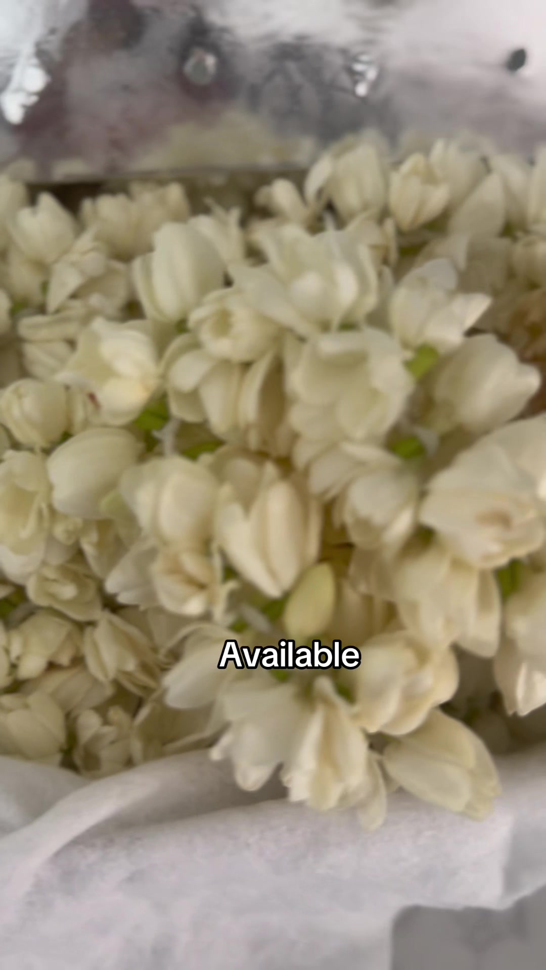 @Flowers By Fozia