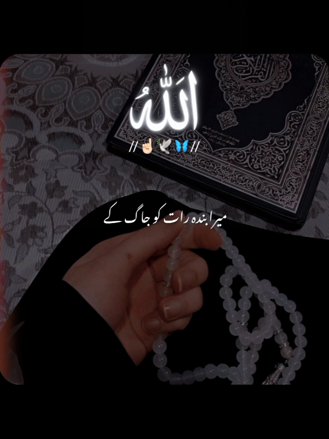 @✨Shahbaz-edit✨