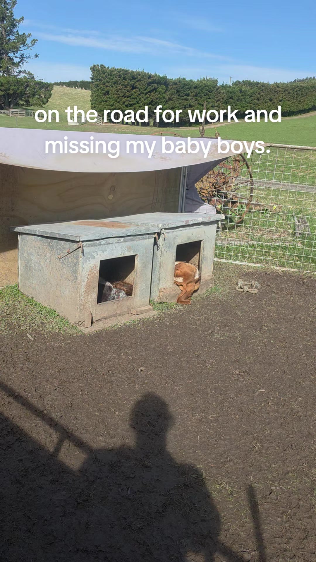 @Elfelms🇦🇺