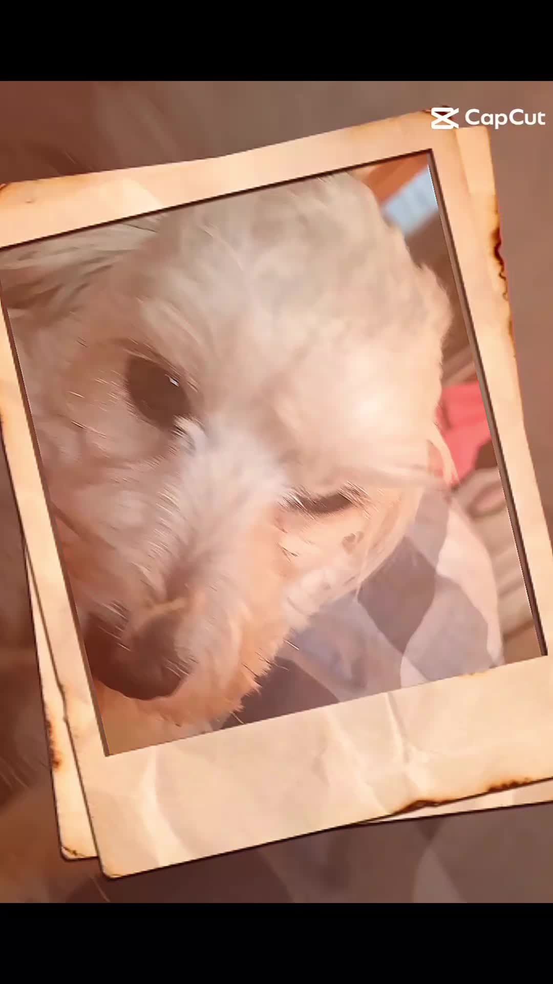@t&ouml;tti