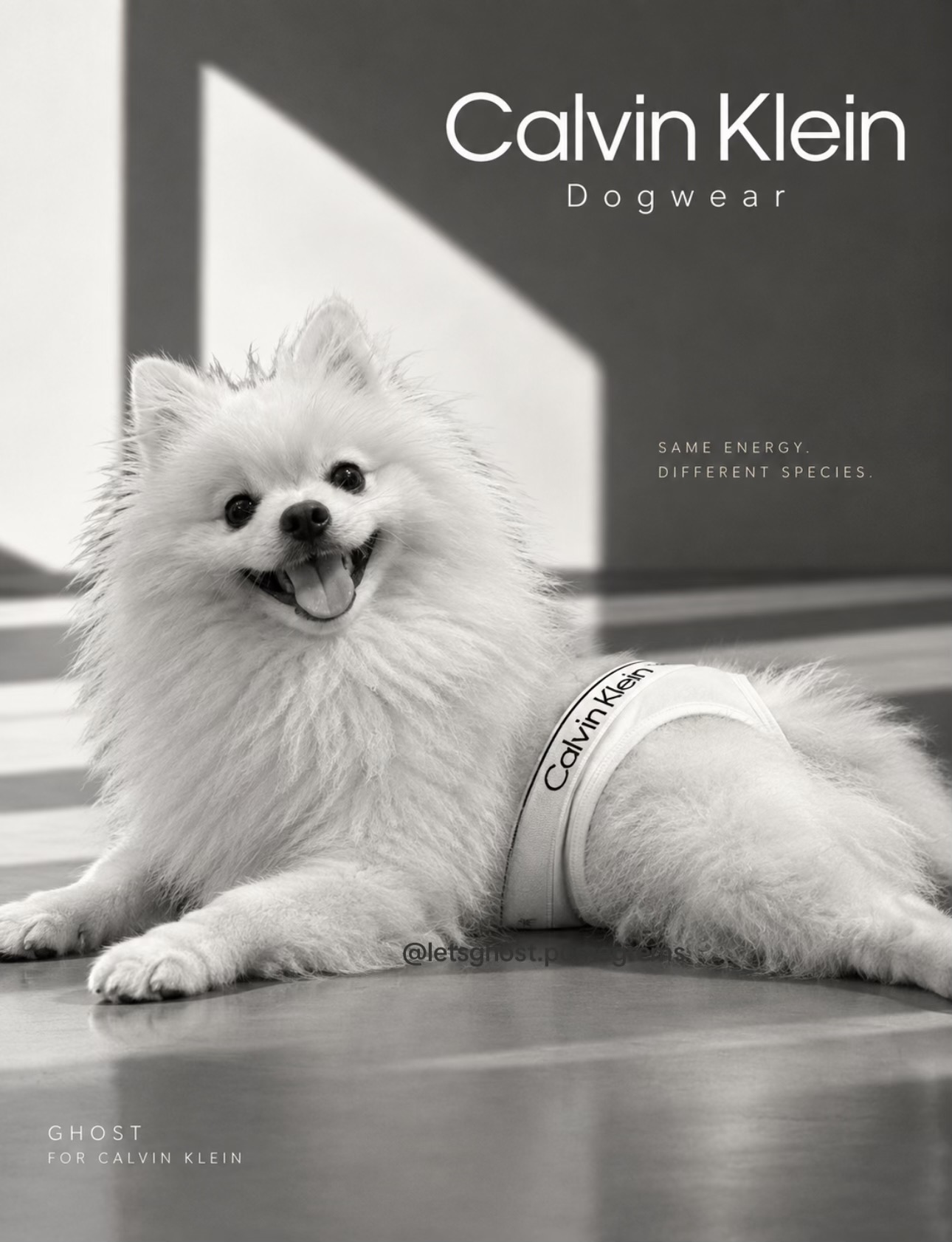 @G H O S T TheRunnerPom