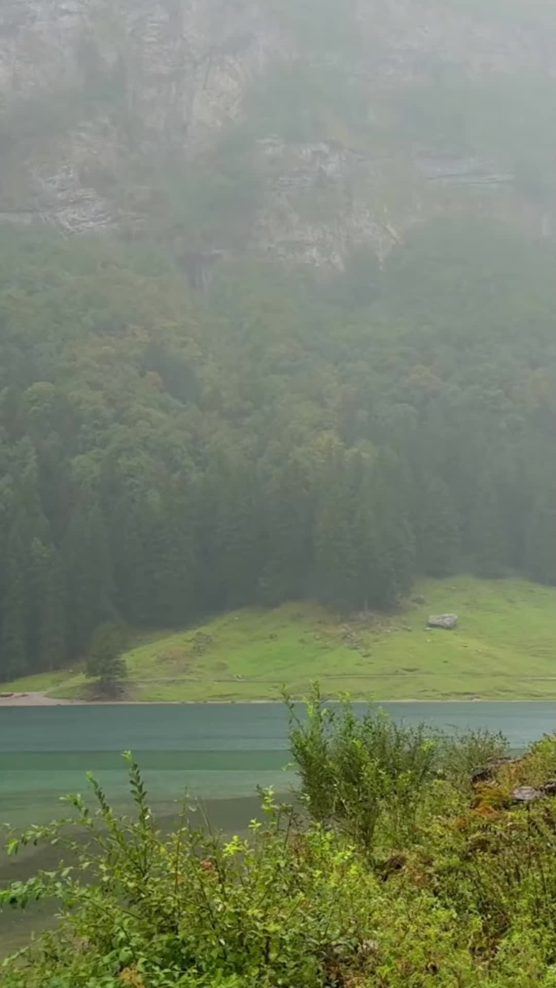 @Mountain_lover58599