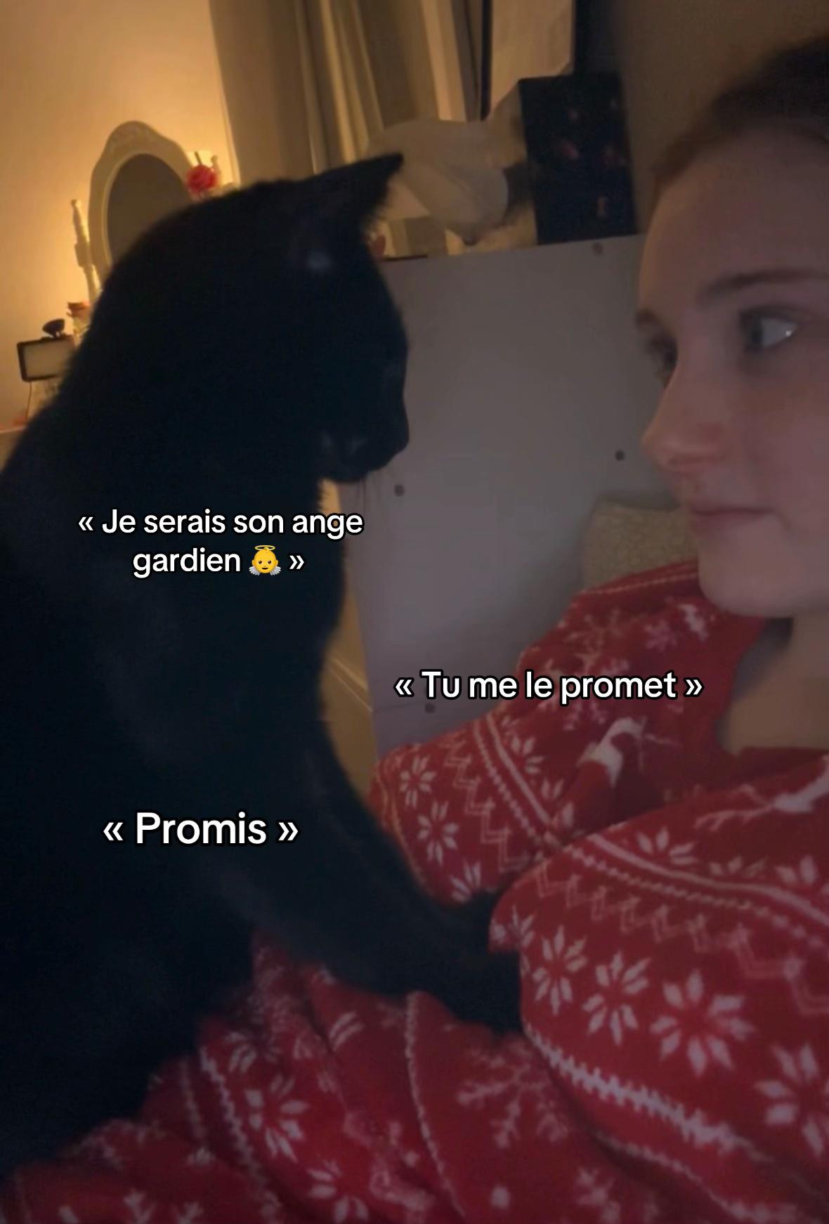 @𝓵𝓲𝓼𝓮𝓪𝓫𝓮𝓻༺🌈