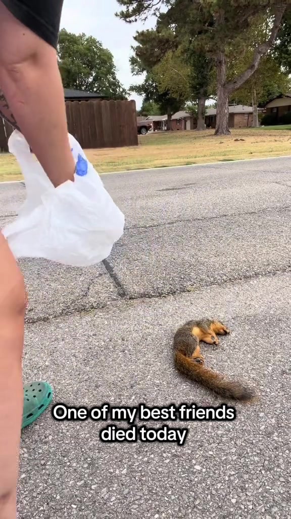 @Ghost and Hannah🐾
